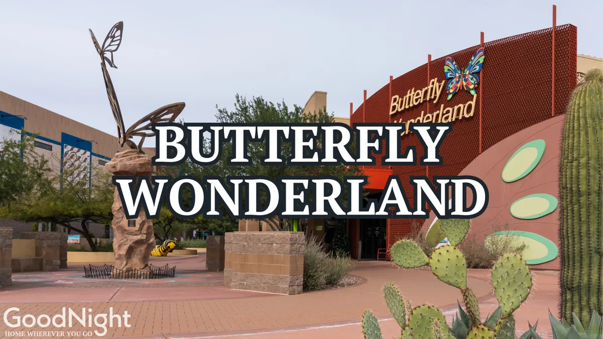 The exterior entrance to Butterfly Wonderland, with a prominent butterfly sculpture, visible signage, landscaped pathways, and desert plants. The atmosphere is inviting, educational, and family-friendly.